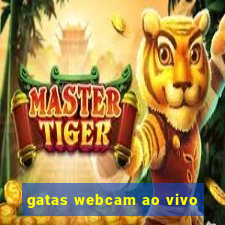 gatas webcam ao vivo