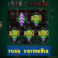 rosa vermelha (letra e cifra)