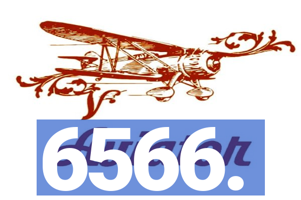 6566.