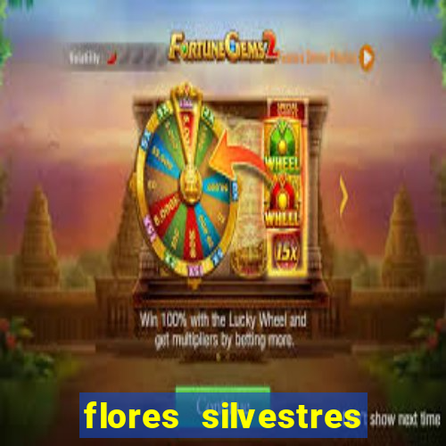 flores silvestres desbravadores desbravadores 25 flores silvestres e seus nomes