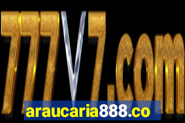 araucaria888.com