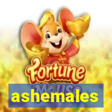 ashemales