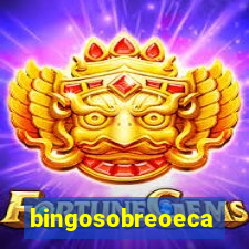 bingosobreoeca