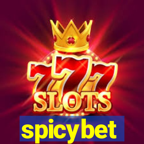 spicybet-2.com