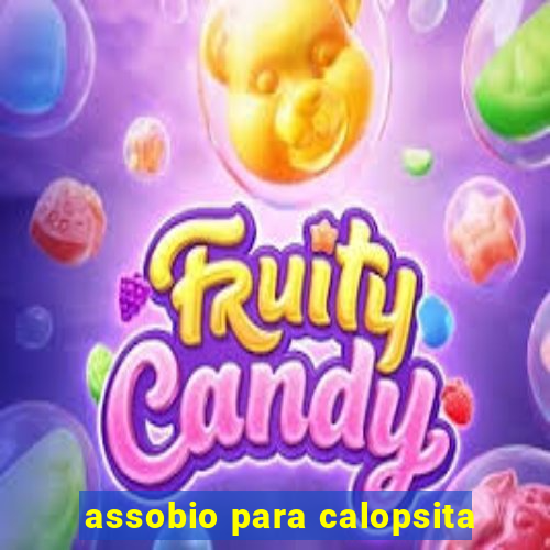 assobio para calopsita