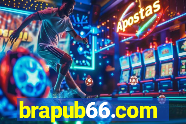 brapub66.com